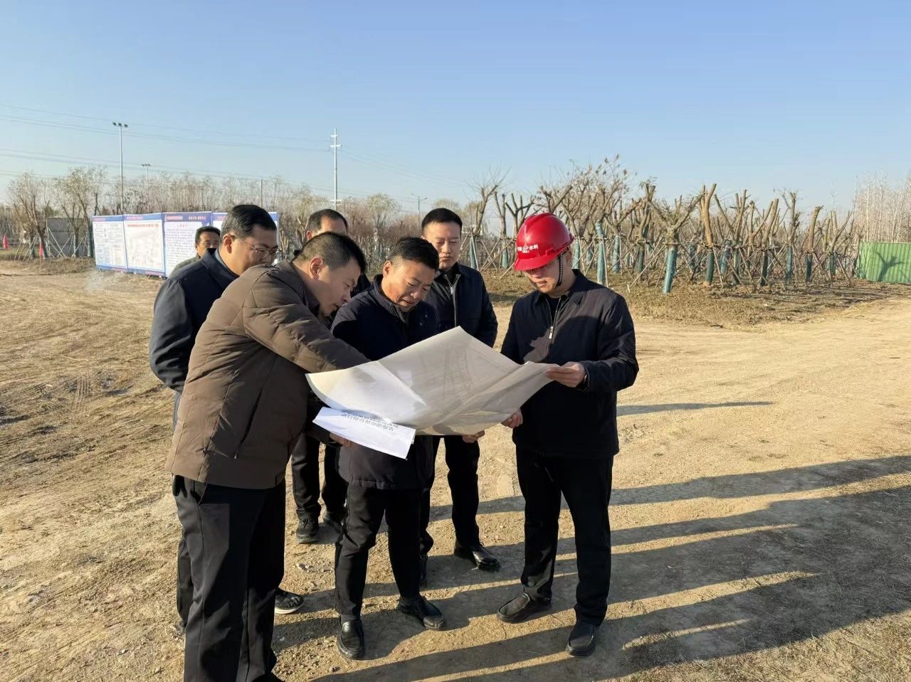 1734914688556460.jpg 11.jpg